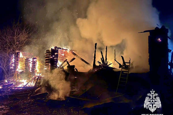 Коты и куры погибли в пожаре в Смоленском округе