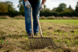 Александр Новиков объявил о старте весеннего экологического месячника в Смоленске