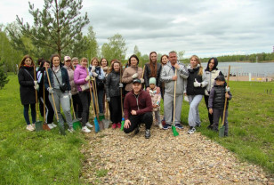 Смоленская область присоединится к Всероссийскому весеннему субботнику