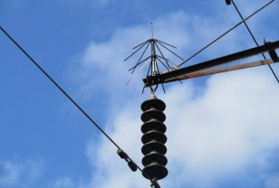 «Смоленскэнерго» установит более 55 птицезащитных устройств на линиях электропередачи в 2026 году