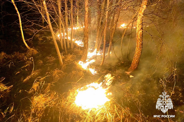 157 случаев возгорания сухой травы зарегистрировано в Смоленской области