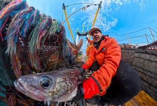 Росстат назвал сферы, где россияне получают более 150 тысяч рублей