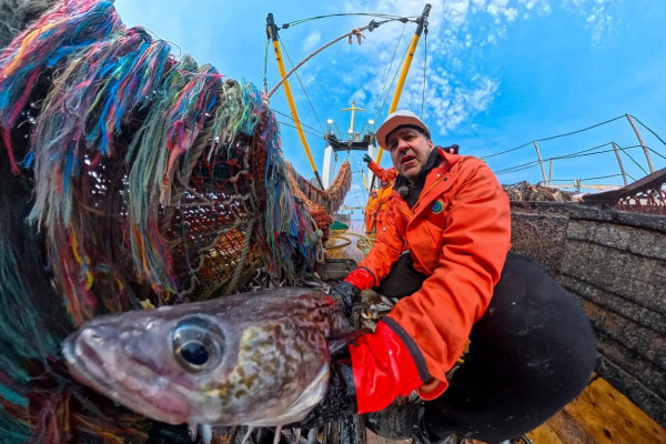 Росстат назвал сферы, где россияне получают более 150 тысяч рублей