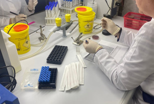 В Смоленской области зафиксирован рост случаев кишечных инфекций 