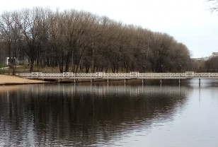 В Смоленской области сохранится дождливая погода