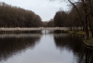 Ночью 9 апреля температура воздуха в Смоленской области опустится до нулевой отметки