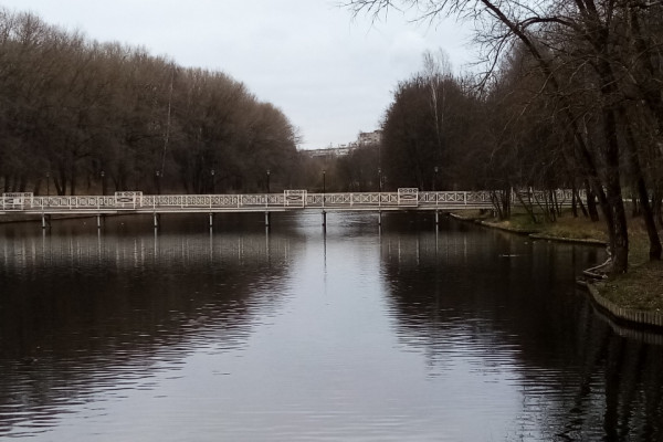 Ночью 9 апреля температура воздуха в Смоленской области опустится до нулевой отметки