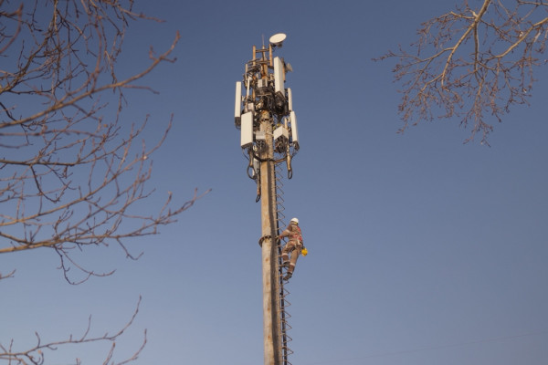 «Пилар» стал лидером башенного рынка по темпам роста и числу вышек – Telecom Daily