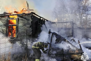 В Смоленске огонь уничтожил садовый дом