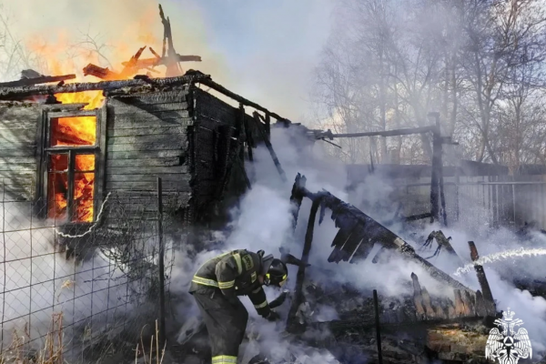 В Смоленске огонь уничтожил садовый дом