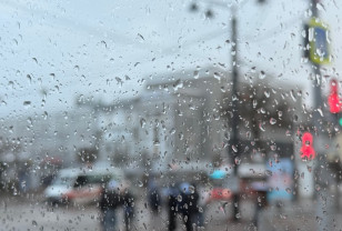 Синоптики обещают дождь в Смоленской области 17 апреля