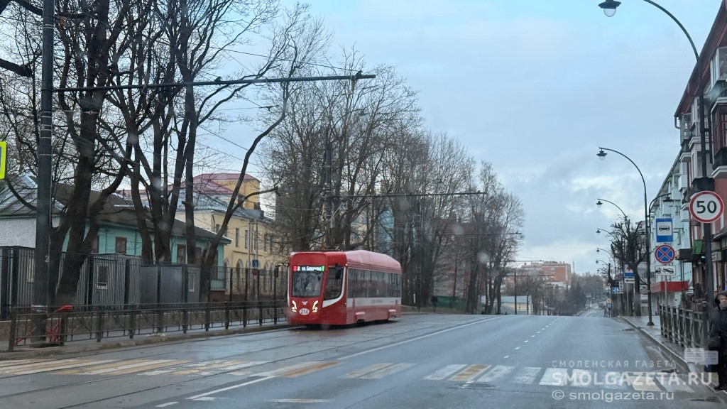 Дождь и мокрый снег прогнозируют в Смоленской области 19 апреля