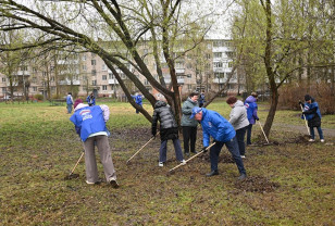 В Смоленске в рамках проекта «Чистая страна» привели в порядок территорию у школы №31