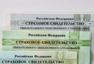 Смоленское Отделение СФР выдало более 1,5 миллиона СНИЛС за 30 лет 