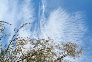 Какая погода ждёт смолян 22 апреля