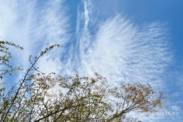 Какая погода ждёт смолян 22 апреля