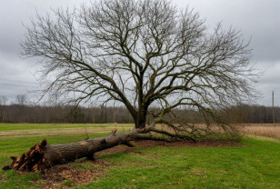Смоленская область оперативно ликвидирует последствия непогоды