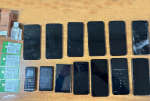 Смолянин пытался передать знакомому заключённому 13 сотовых телефонов