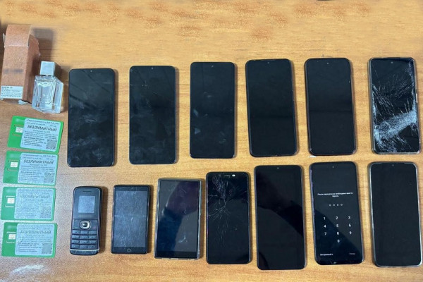 Смолянин пытался передать знакомому заключённому 13 сотовых телефонов