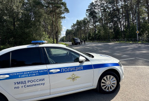 Сегодня в Смоленске пройдут «сплошные проверки»