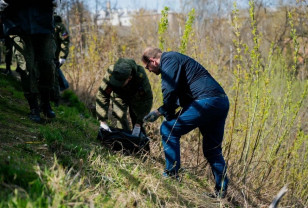 «Единая Россия» присоединилась к Всероссийскому субботнику в Смоленской области 