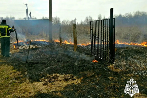 В Смоленской области с начала весны выгорело  более 1800 гектаров земли