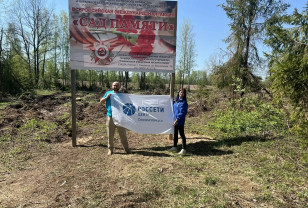 Сотрудники филиала «Смоленскэнерго» приняли участие в Международной акции «Сад памяти»