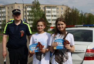 Смоленская ГАИ и волонтёры провели патриотическую акцию «Дороги памяти»