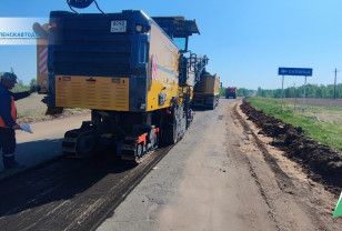 «Смоленскавтодор» приступил к обновлению дороги в Ельнинском округе