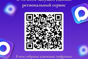 В мессенджере МАКС запустили приложение-навигатор по ключевым сервисам и официальным каналам Смоленской области