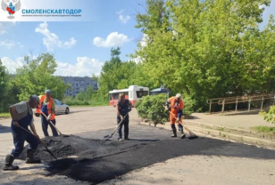 В микрорайоне Гнездово устанавливают новый пешеходный переход