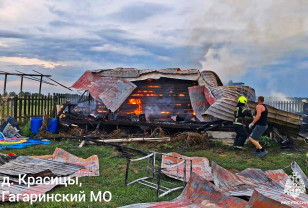 В Гагаринском округе молния ударила в частный дом