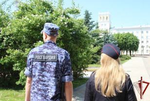 В Смоленске безопасность проведения Дня России обеспечили Росгвардия и УМВД
