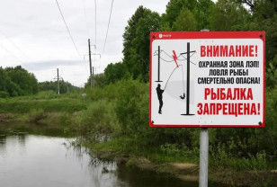Смоленскэнерго напоминает о смертельной опасности рыбалки вблизи линий электропередачи