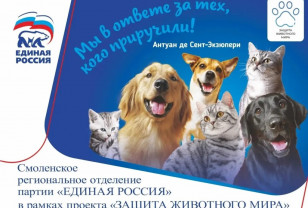 В Смоленске провели выставку-раздачу бездомных животных 
