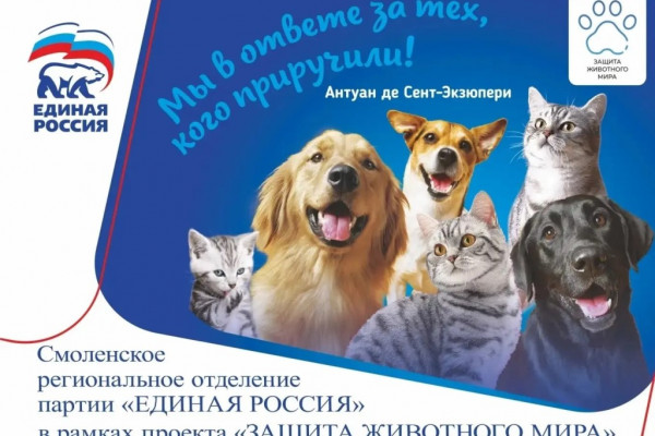 В Смоленске провели выставку-раздачу бездомных животных 