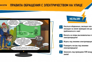 Безопасный отдых: как избежать электротравм на природе
