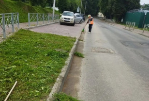 На десяти улицах Смоленска выполнят покос придорожных полос