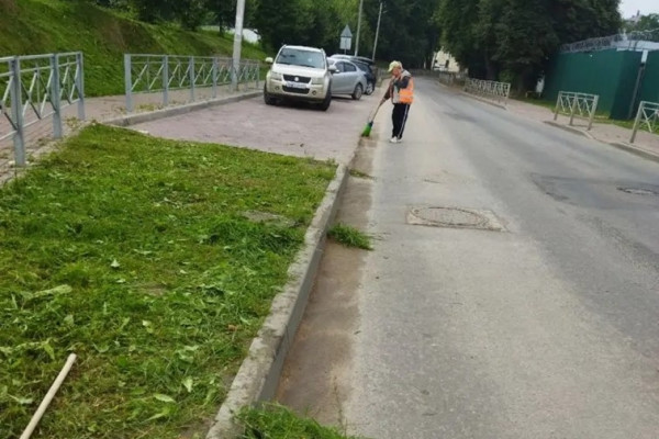 На десяти улицах Смоленска выполнят покос придорожных полос
