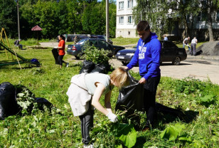 Активисты «Единой России» провели субботник в Промышленном районе Смоленска 