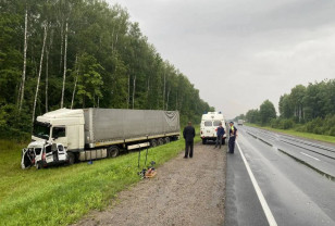 Водитель и два пассажира «Лады Ларгус» погибли в ДТП в Починковском округе