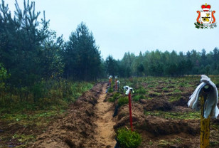 В Смоленской области выполнено свыше 90% от годового плана по проведению агроуходов