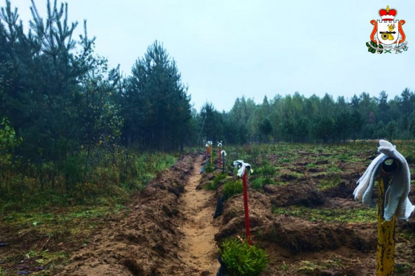 В Смоленской области выполнено свыше 90% от годового плана по проведению агроуходов