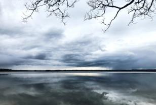 В Смоленской области из водохранилища извлекли тело предположительно утонувшего мужчины