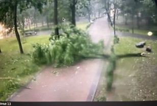 В Смоленске два человека стали жертвами непогоды