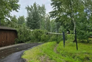 Энергетики Смоленской области выходят на финишную прямую в борьбе с последствиями непогоды