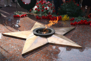 Патриотическая акция «Чистая память» завершилась в Сафонове 