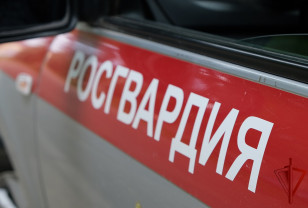 Смоленская Росгвардия рассказала об итогах рабочей недели