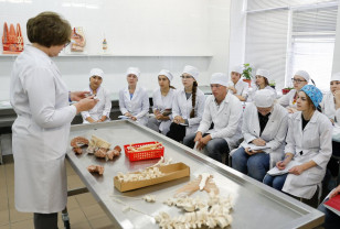 Минпросвещения назвало самые популярные специальности в колледжах в 2026 году