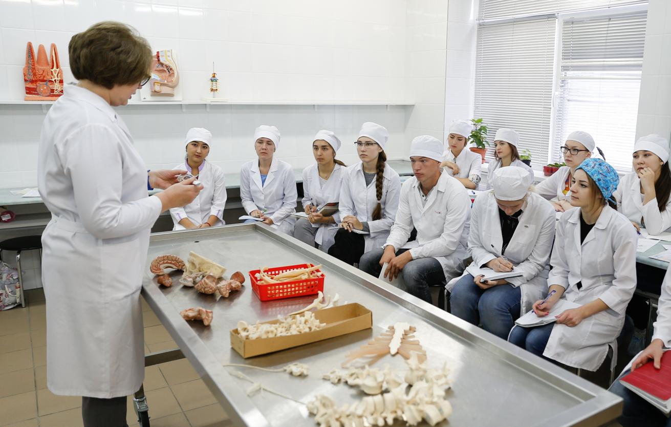 Минпросвещения назвало самые популярные специальности в колледжах в 2026 году